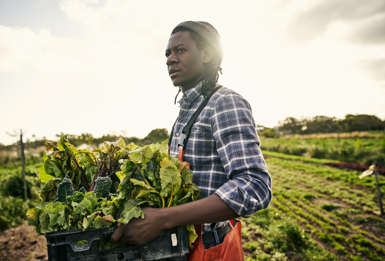 Preserving the Legacy: Addressing the Decline of Black Farmers in America!